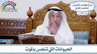 71 - الحيوانات التي تنجُس بالموت - عثمان الخميس