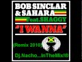 BOB SINCLAR and SAHARA feat SHAGGY - I ...
