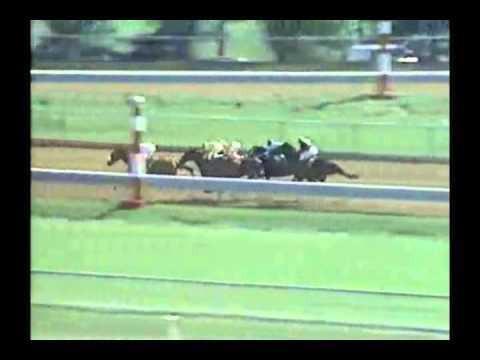1988 Lexington Stakes - Risen Star -vs- Forty Niner