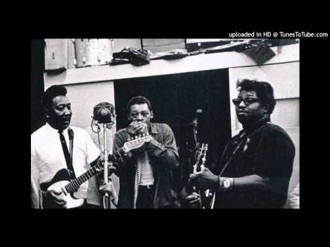 Bo Diddley, Muddy Waters and Little Walter - You Don't Love Me