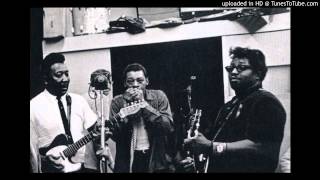 Bo Diddley, Muddy Waters and Little Walter - You Don&#39;t Love Me