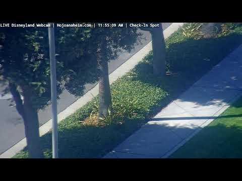 Live webcam of Disneyland Cam