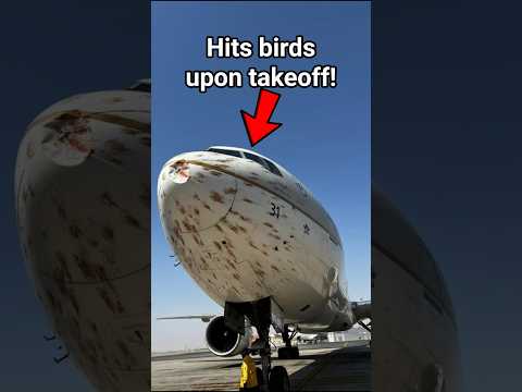 Saudia 777 Hits Birds After Taking Off!