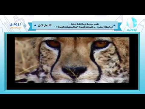 الرابع الابتدائي | الفصل الدراسي الأول 1438 | علوم | مقدمة في الأنظمة البيئية