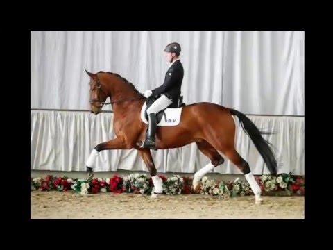 02 Bon Jovi  Wallach v.  Belissimo M - Don Kennedy