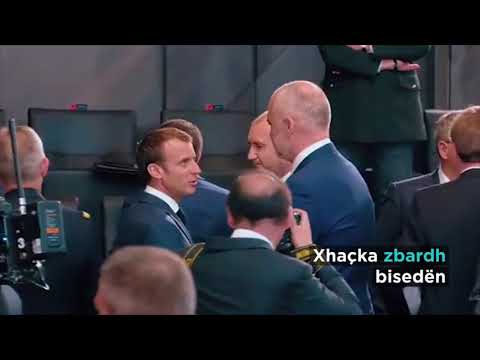 "Photo of the day". Rama shtrëngon duart me Trump, komentuesit e ironizojnë keq | IN TV Albania