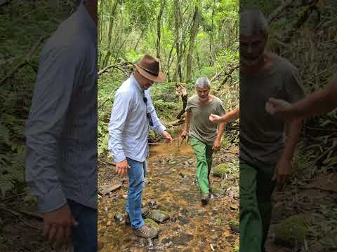 Sítio completo com galpão, estufas, açudes e agroindústria – Tomazina/PR | 43 99627-5172