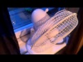 How To Turn On And Off A Fan The Best Tutorial Out There