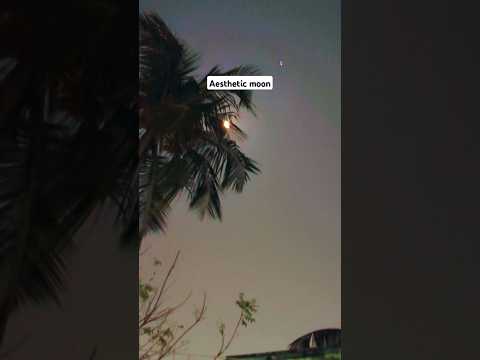 Dil Tu jaan tu #aesthetic #nature #sudeshna #nightlife