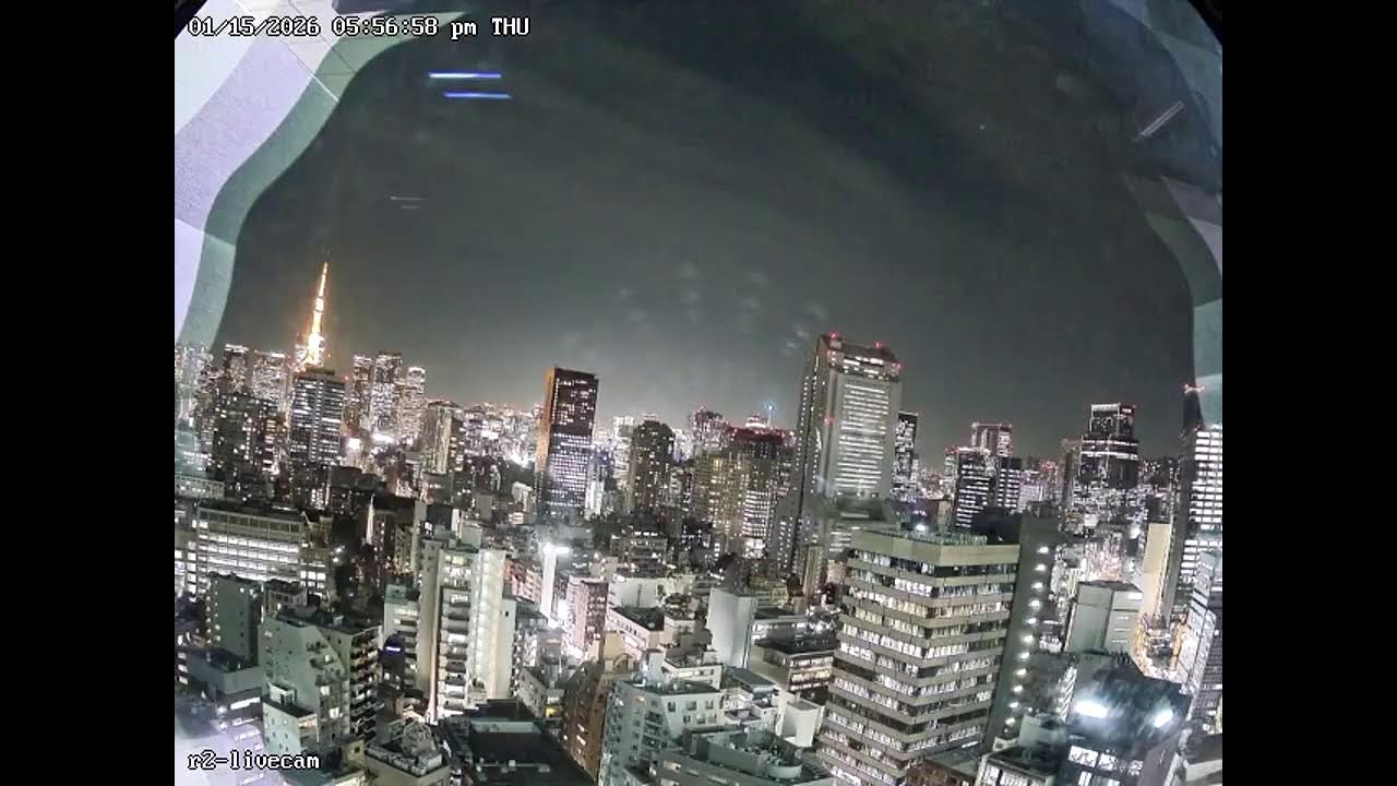 観光地のライブ映像