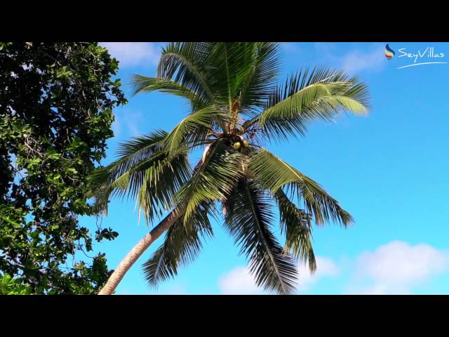 Video - Image - Unser Inselhopping