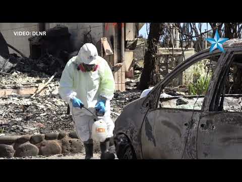 EPA hazmat teams go to work in Lahaina