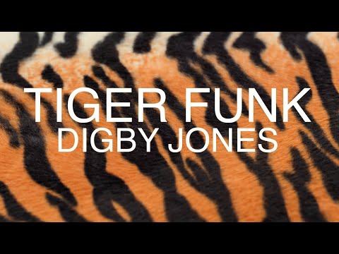 Digby Jones - Tiger Funk