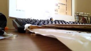 Five kids go and crap themselves