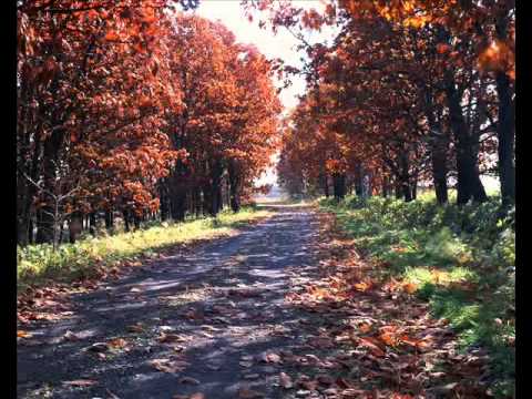 September Pagi By Harvey Malaiholo ft Ruth Sahanaya