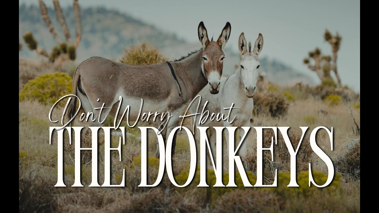 “Don't Worry About The Donkeys” Rev. Malachi Brewer | Sunday AM 