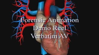 Verbatim Forensic Animation Demo Reel