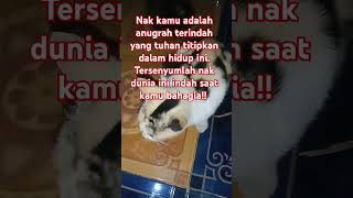 Download lagu doa ibu#motivasi #inspirasi mp3 Download lagu doa ibu#motivasi #inspirasi mp3