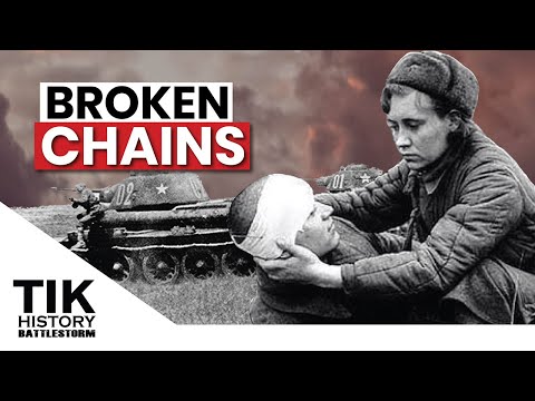 Terrible state of German Divisions BEFORE Stalingrad city | BATTLESTORM STALINGRAD E11