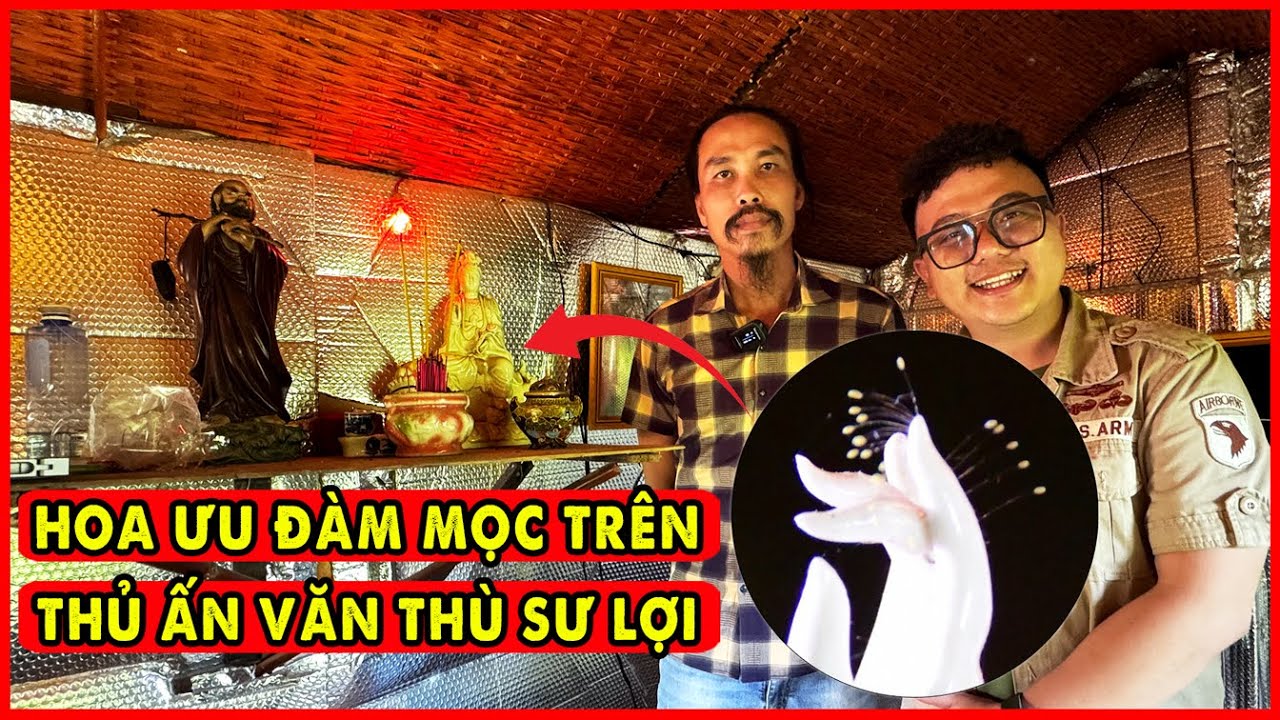 Sự Thật Hoa Ưu Đàm Nở khắp nước Việt dấu hiệu lễ Phong Thánh gần kề?