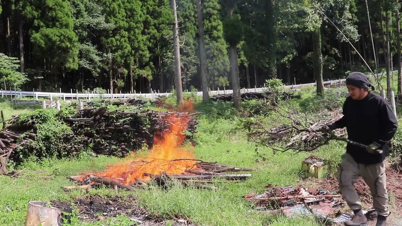 竹置き場が消滅！畑作りに向けた枯れ竹の焼却が思った以上に大変