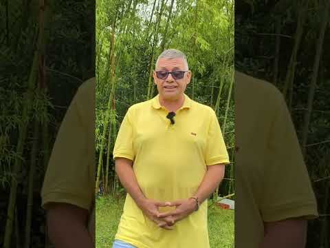 Apicultura en Florida Valle del Cauca