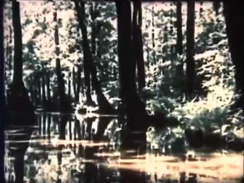 ImageFilm Spreewald Verockerung