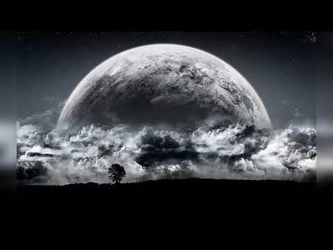 Videoclip de Wish You Were Here (Album Version) — Wyclef Jean