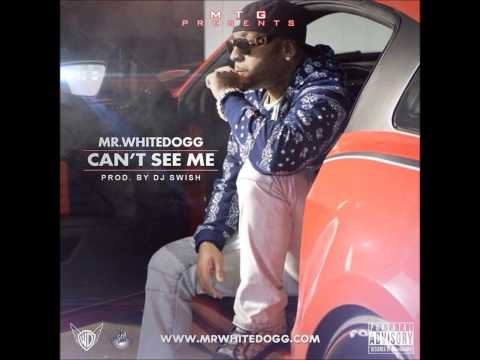 Mr. WhiteDogg - Can't See Me (Prod. by DJ Swish)