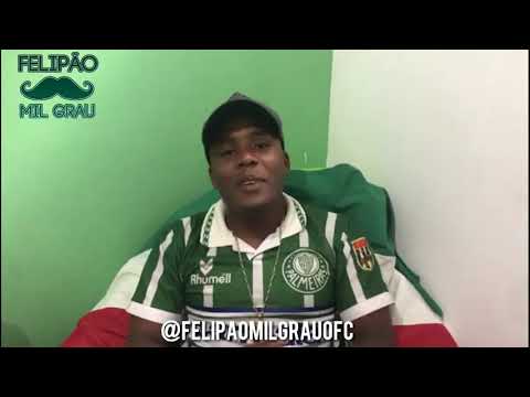 Palmeiras Deca campeão - Mc Andrey Clipe oficial