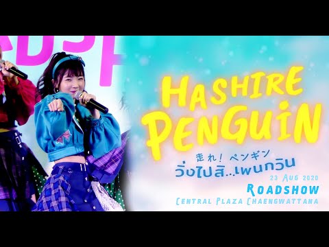 【FANCAM】200823 Kaimook BNK48 - Hashire! Penguin | Roadshow @ Central Plaza Chaengwattana