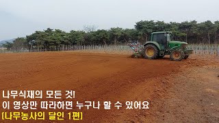 1편//초보도 쉽게 배우는 나무식재 방법(feat.나무달인)