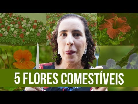 , title : '5 Flores Comestíveis que Você Precisa Experimentar | Nô Figueiredo'