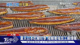 Re: [新聞] 陸鰻搶進日本 台鰻上千公噸待銷  