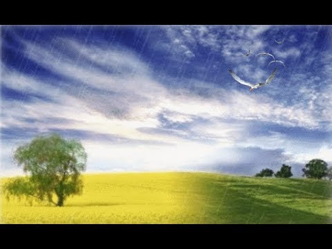 Mây về đâu Sheet - Hà Lan Phương