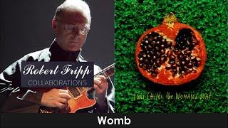 ¡¡¡GRAN VOZ!!! 📀 Toni Childs → The Woman&#39;s Boat → Womb (🎸Robert Fripp)