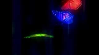 SMOOTH JAZZ JOHN KLEMMER SAX  "MY LOVE HAS BUTTERFLY WINGS"