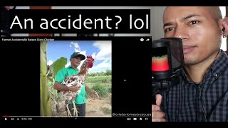 Farmer Accidentally Raises Giant Chicken | REACTION | SEKSHI V