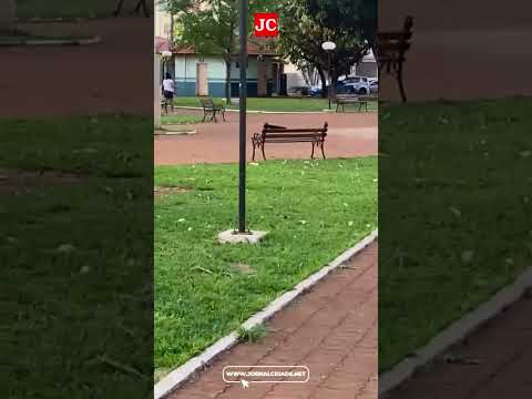 Porsche em alta velocidade em Ipuã: motorista é preso após perseguição