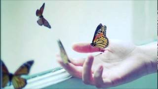 Sasha - Wavy Gravy (Jaap Ligthart Bootleg)