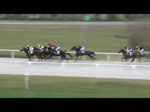 2018.10.28. 06. futam - NÉMETH FERENC EMLÉKKUPA VI. FUTAMA HENDIKEP (V.o.) (szintetikus pálya)