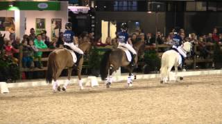 preview picture of video 'Demoteam Jumping Mechelen 2013'