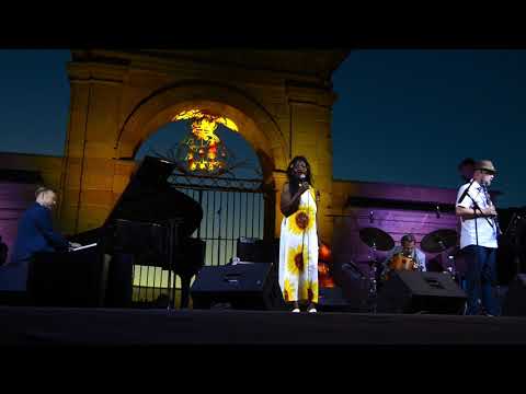 𝐒𝐇𝐀𝐑𝐎𝐍 𝐂𝐋𝐀𝐑𝐊 𝐐𝐔𝐈𝐍𝐓𝐄𝐓