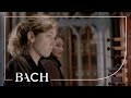 bach prelude and fugue in e minor bwv 533 schouten netherlands bach society