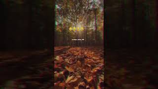 Download lagu 💔Log Kehte Hain Tum Bahut Badal Gaye Ho Batao Ab Toote Hue Patte Rang Bhi Na Badle🥀 #shorts #shayari mp3