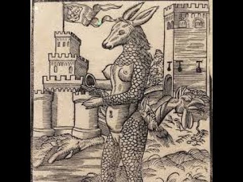 BESATT / Wicherdistro 2018r.