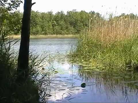 Wokol Jeziora Jaczno