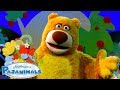 The Nighttime Friendly Forest Pajanimals