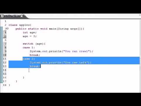 Java Video Tutorial Part 12 Switch Statement