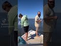 sapelo sound shrimping